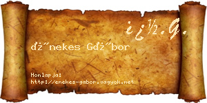 Énekes Gábor névjegykártya